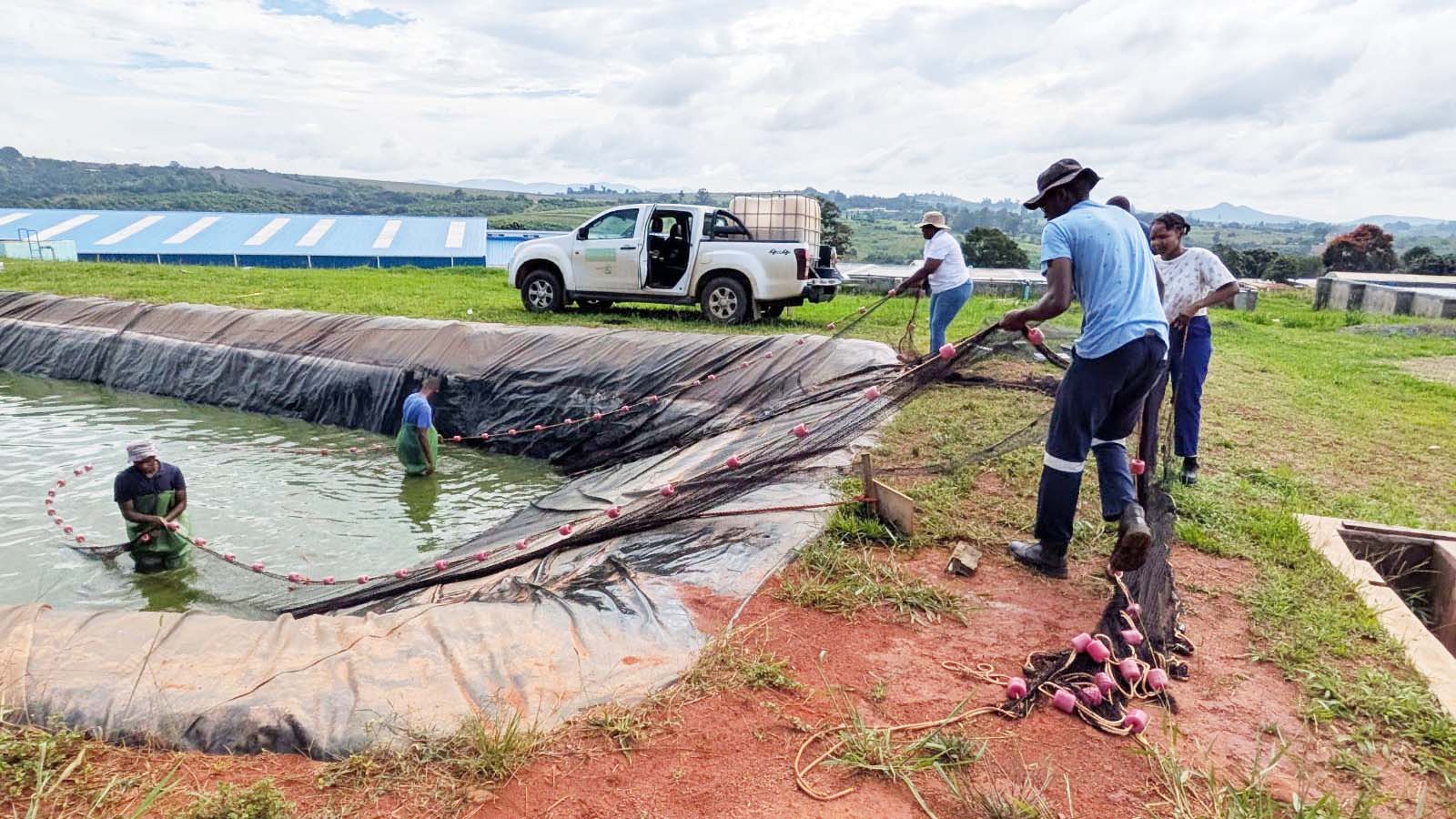 Eswatini’s aquaculture industry shows strong signs of growth